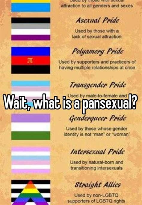 Wait What Is A Pansexual