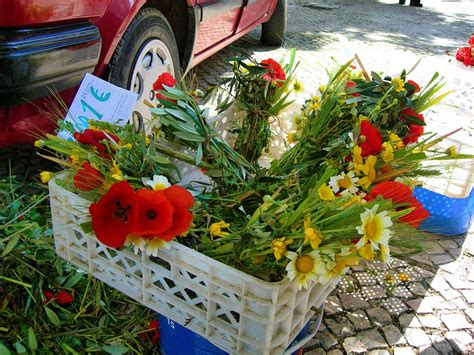 Apanhámos as plantas tradicionais do ramo da espiga e fizemos uma paragem para brincar no. Retalhos de Bem-Fica: Dia da Espiga