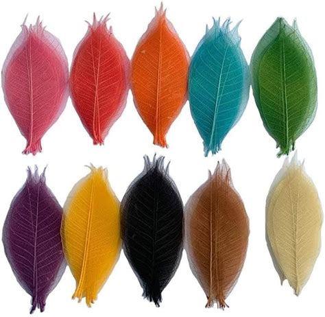 Ratree Shop 100 Pcs Mixed Colors 4 5 Inches Skeleton Leaves