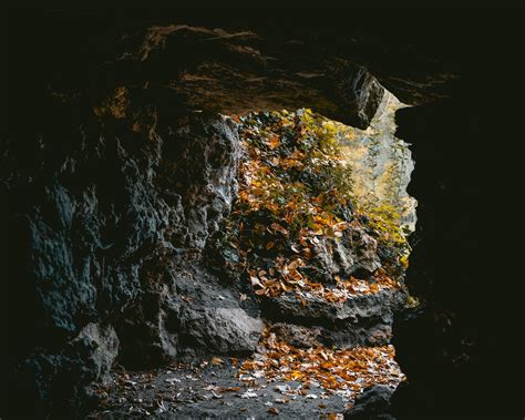 An Open Cave With Leaves On The Ground