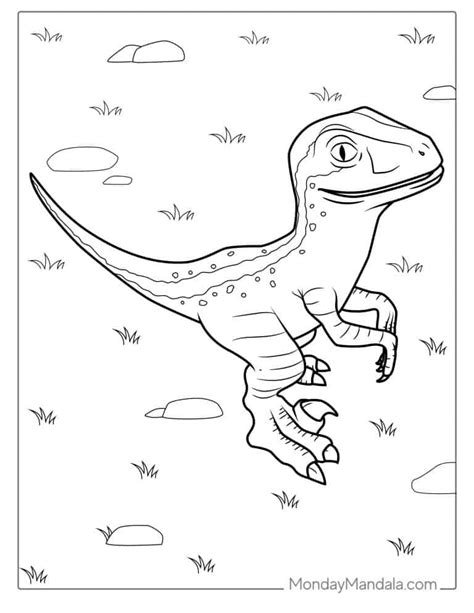 24 Velociraptor Coloring Pages Free Pdf Printables