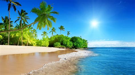500 Beach Desktop Backgrounds Full Hd High Quality