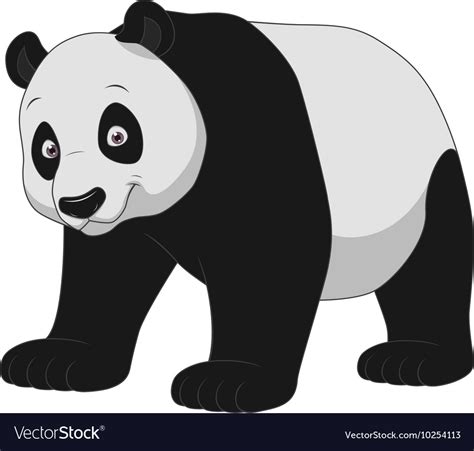 Adult Funny Panda Royalty Free Vector Image Vectorstock