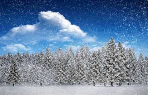 Composite Image Of Fir Trees In Snowy Landscape Stock Illustration
