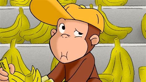 Curious George 🐵george The Grocer 🐵 Kids Cartoon 🐵 Kids Movies Videos