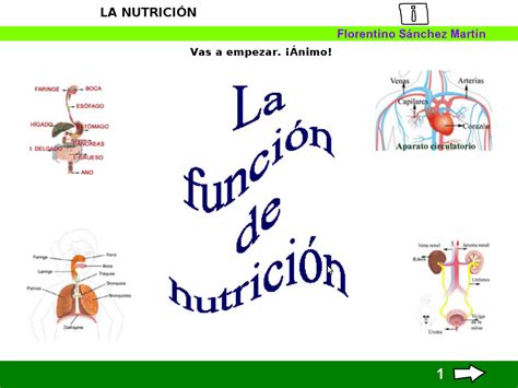 La Funcion De Nutrición Maestro Quini