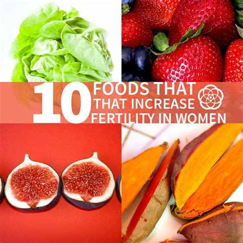 10 foods to help increase fertility and libido in women fertility food for women fertility