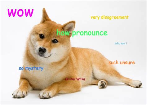 Doge Pronunciation How Do You Pronounce The Name Of The Shibe Doge Meme