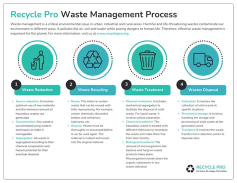 Waste Management Process Infographic Template