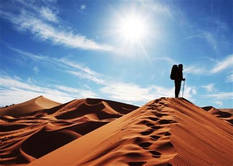 How To Survive In The Desert Some Interesting Facts