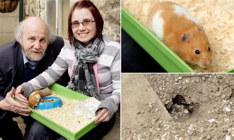 Easter Miracle Tink The Hamster Shocks Owners By Coming