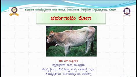 ಜಾನುವಾರುಗಳ ಚರ್ಮ ಗಂಟು ರೋಗ Lumpy Skin Disease In Cattle Kannada Dr N B Shridhar Youtube