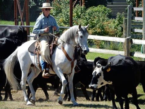 Montana Horse Ranch Property ~ Horse Expo Usa
