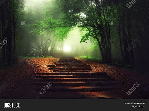Beautiful Mystical Image And Photo Free Trial Bigstock