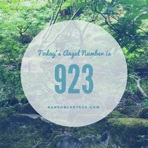 Today's Angel Number 923 | Angel number, Angel number meaning, Number meanings