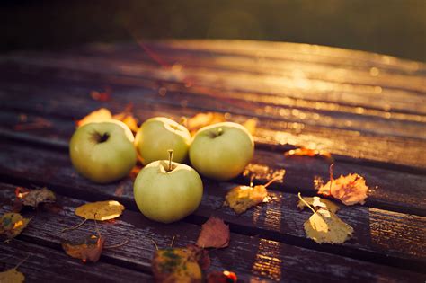 Table Apples Autumn Harvest Leaves Wallpaper 2000x1333 165875