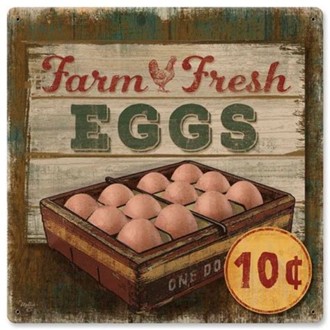Vintage Fresh Eggs Metal Sign 2 12 X 12 Inches