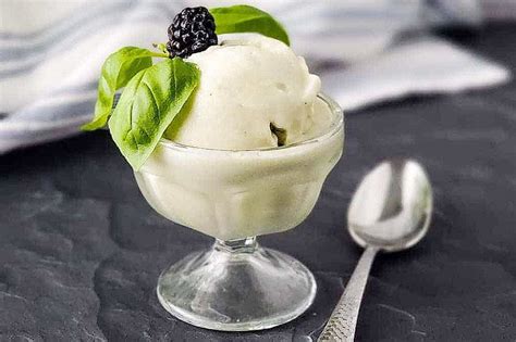 40 Deliciously Dairy Free Ice Cream Recipes Thm Options