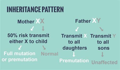 Fragile X Syndrome Inheritance Pattern