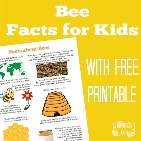 Fun Bee Facts For Kids