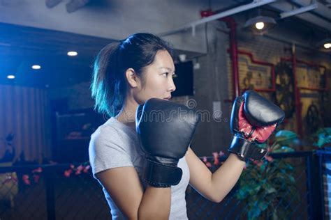 Asian Female Boxer Practicing Boxing Stock Image Image Of Attractive