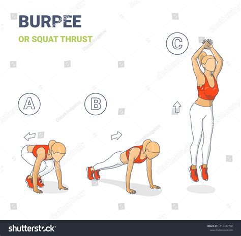 Woman Doing Squat Thrust Burpee Exercise Stock Vector Royalty Free