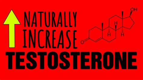 12 Ways To Boost Your Testosterone Naturally Youtube