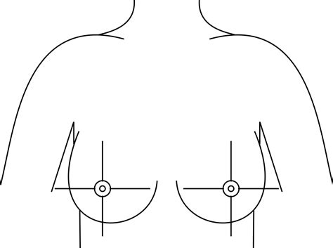 The maximum amount of cases breast tissue is an elemental component of both male and female human anatomy, although function of the breast. File:Breast quadrants.svg - Wikimedia Commons