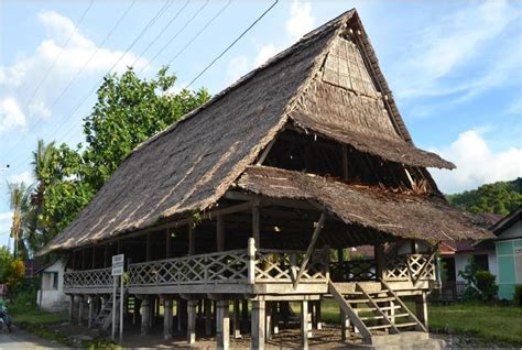 Rumah Adat Maluku Mengenal Rumah Adat Yang Ada Di Maluku Jenis Ciri