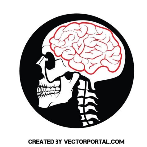 Skull With A Brain Royalty Free Stock Svg Vector And Clip Art