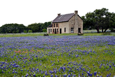 The Bluebonnet House Dorbandt House Just Outside Marble F Flickr