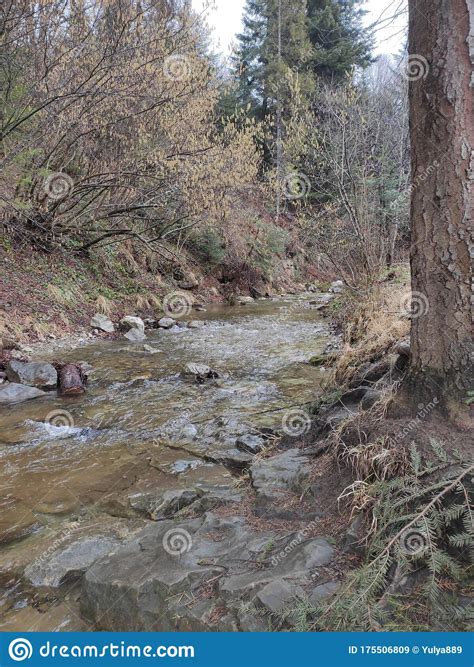 Spring Forest Mountain River Stock Image Image Of Elfs Nature
