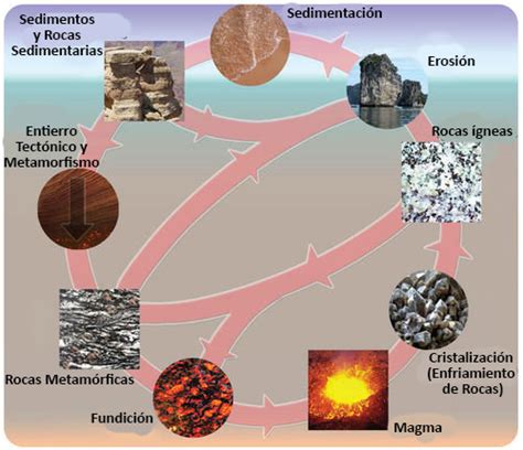 Como Se Forman Las Rocas Sedimentarias Dinami