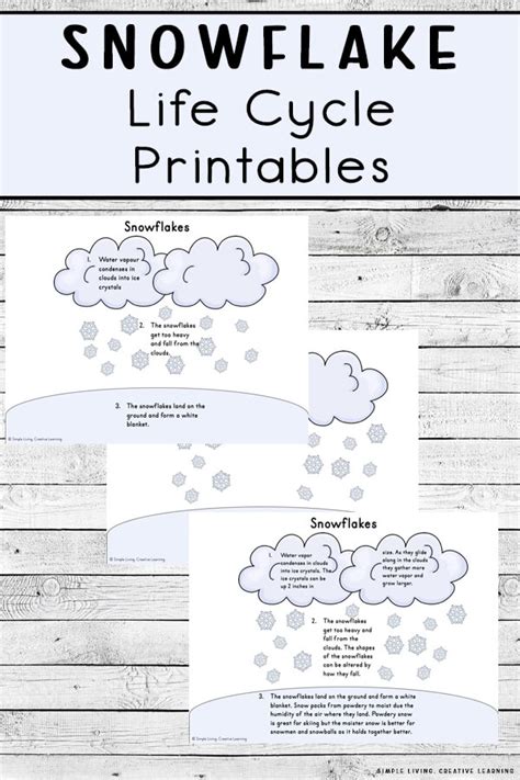 Snowflake Life Cycle Printables Simple Living Creative Learning