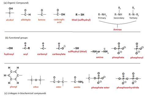 Introduction Organic Compounds Functional Groups And