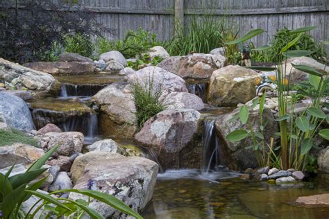 Tips For Building An Amazing Waterfall Aquascape Backyard Waterfall