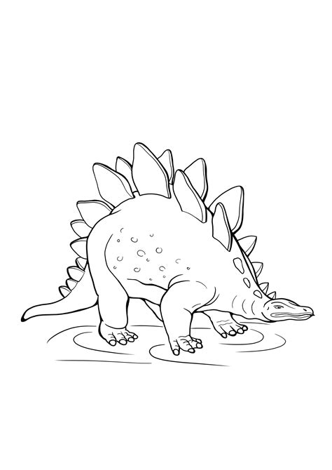 Dibujo Para Colorear Stegosaurus Img The Best Porn Website