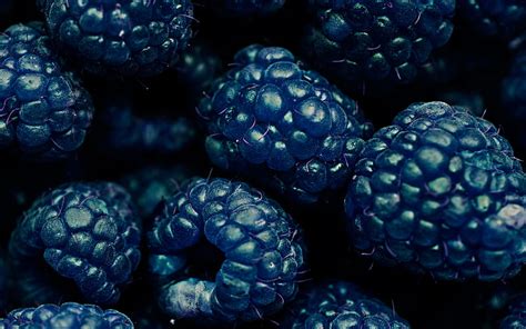 Blackberry Macro Fresh Fruits Berries Dewberry Fruits Hd