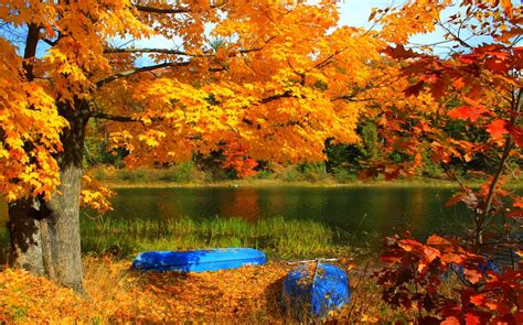 Wallpaper Trees Landscape Forest Fall Leaves Boat Lake Nature