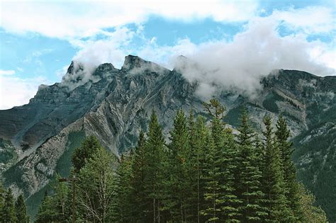 Free Photo Clouds Conifers Daylight Evergreen Fir Trees Forest