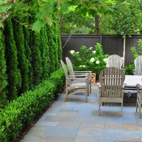Excellent Ideas To Make Fence With Evergreen Plants Landscaping