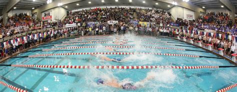 2017 Ohsaa Swimming And Diving State Tournament Coverage