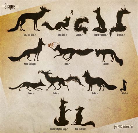 Foxes And Shapes By Culpeo Fox On Deviantart