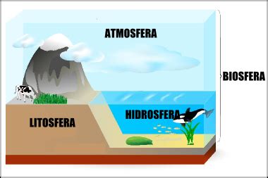 Biosfera Características da biosfera terrestre Brasil Escola