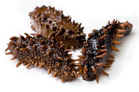 Look through examples of sea cucumber translation in sentences, listen to pronunciation and learn grammar. 80% of Chinese cuisine 'fake': expert | China Daily Show