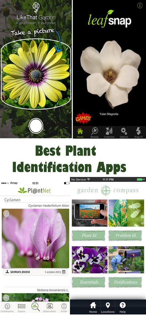 Leafsnap is an excellent plant & flower identification app, easily one of the best ones in the play store. 19 Best Plant Identification Apps for 2021 | Plant ...