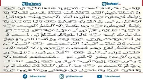 Tag Bacaan Surat Yasin Lengkap Terbaru Surat Yasin 1 83 Ayat Lengkap