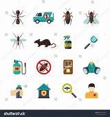Images of Home Exterminator