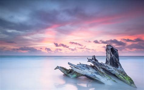 Download Driftwood Sunset Sky Cloud Horizon Nature Ocean Hd Wallpaper
