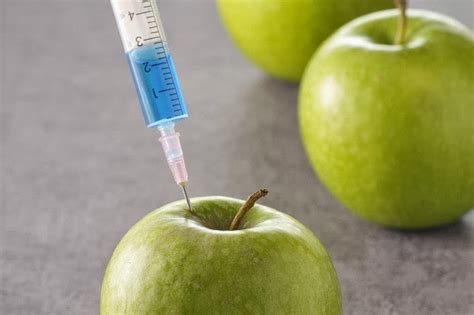 Gmo Report Gm Apples Headed For Usda Approval